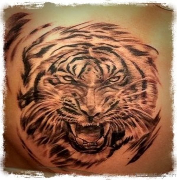 Asian Tiger Tattoo Design