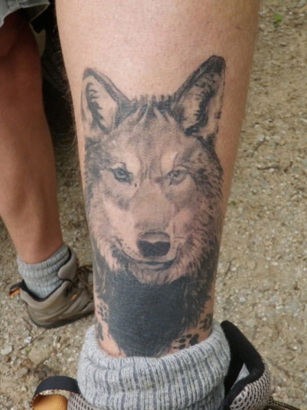 Attractive Wolf Tattoo