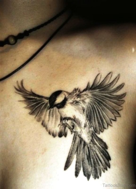 Attractive Bird Tattoo