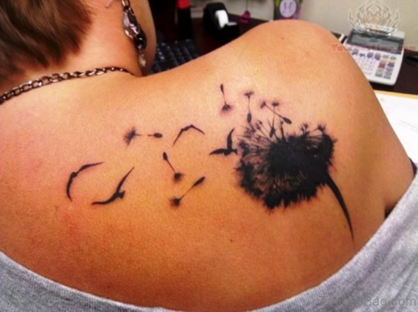Attractive Birds Tattoo On Shoulder