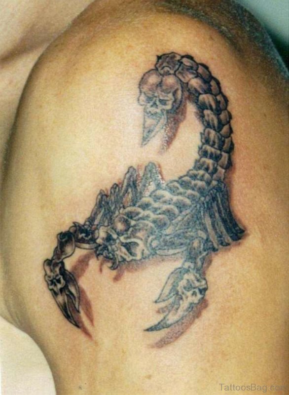 Beautiful Scorpion Tattoo On Shoulder