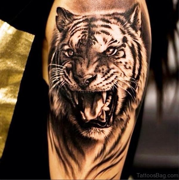 Black Realistic Tiger Tattoo
