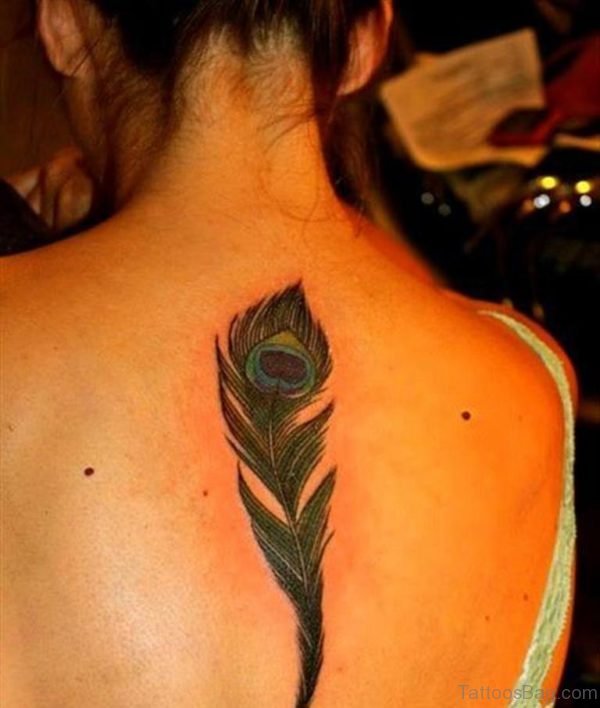 Colored Peacock Feather Tattoo On Back