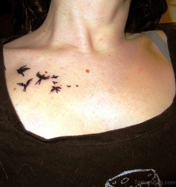 Cute Birds Shoulder Tattoo