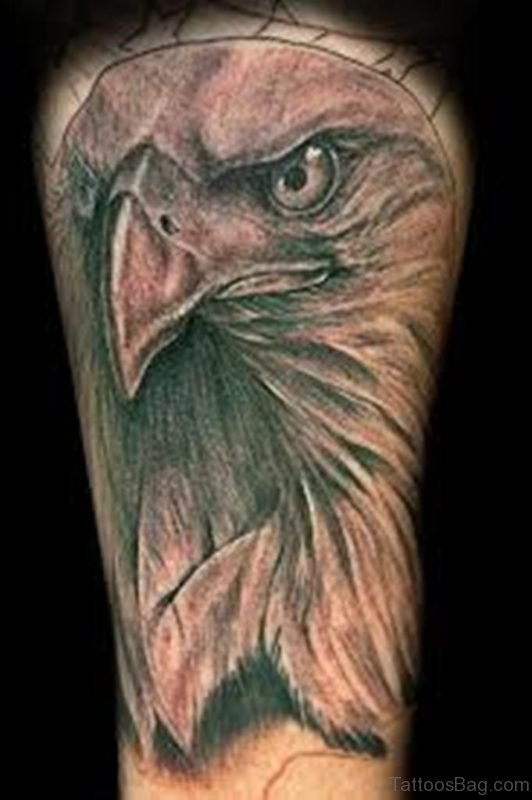 Eagle Head Tattoo