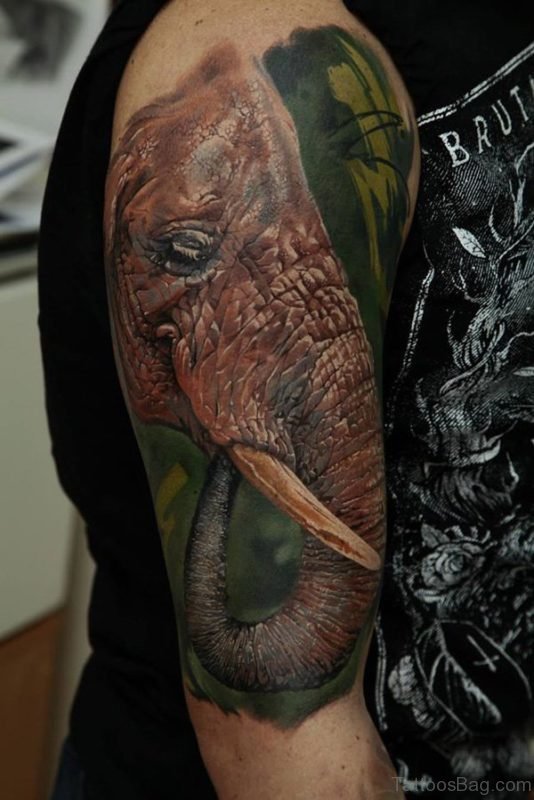 Elephant Face Tattoo Design On Shoulder