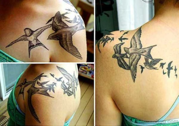 Flock Of Birds On Shoulder Back