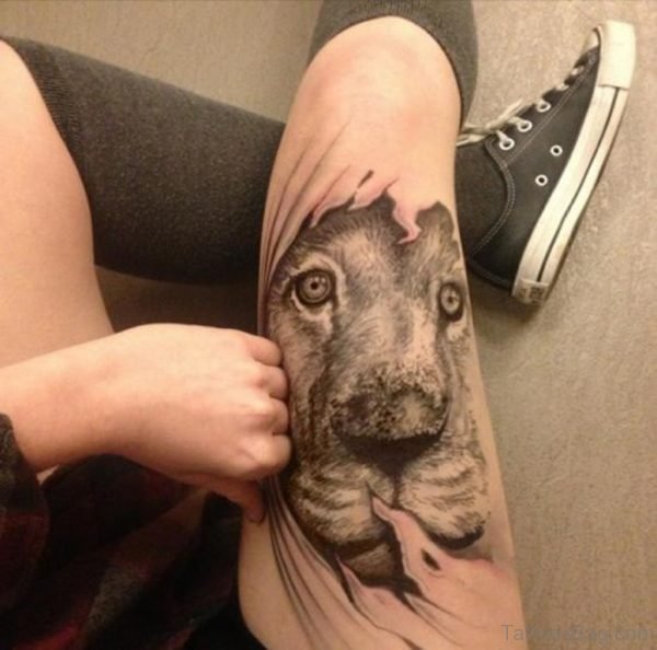Great Looking Lion Tattoo