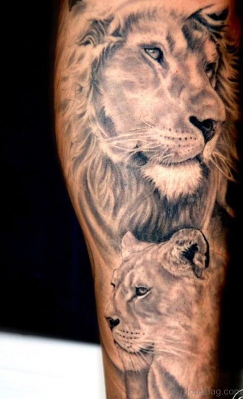 Grey Lion Tattoo