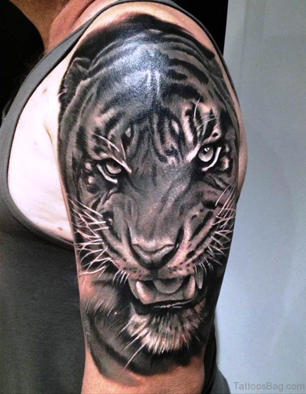 Half Sleeve Tiger Tattoo 