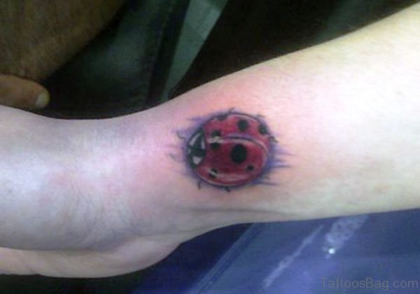 Lovely Ladybug Wrist Tattoo 