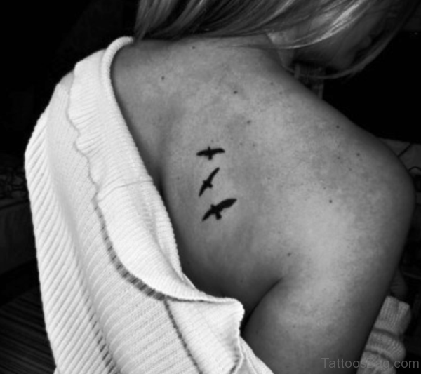 Nice Birds Tattoo On Shoulder Back