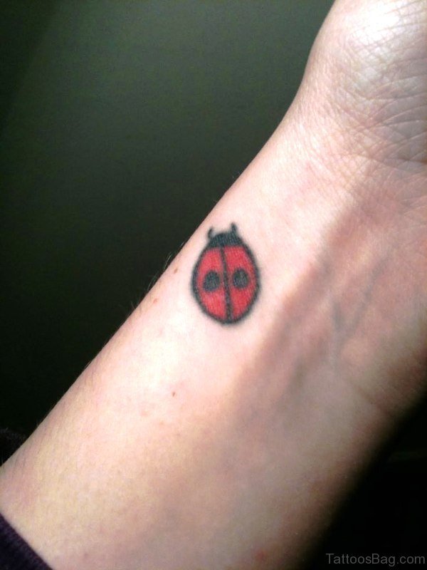 Nice Ladybug Tattoo On Wrist 