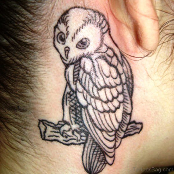 Owl Sitting On Branch Tattoo