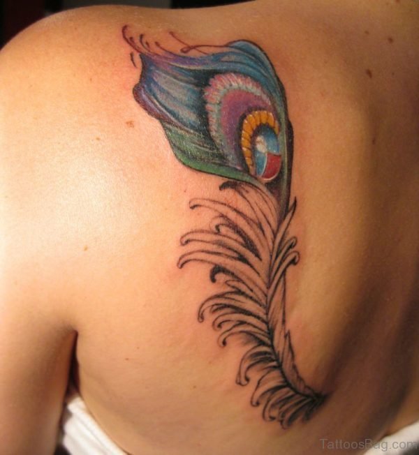 Peacock Feather Tattoo Design