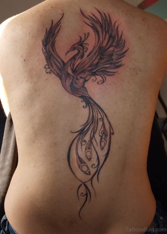 Phoenix Tattoo On Back