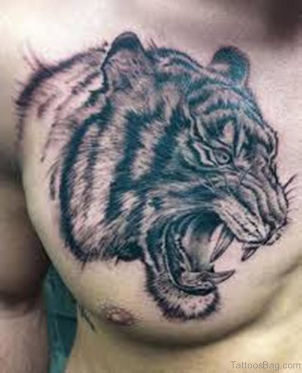 Realistic Black & Gray Tiger Tattoo