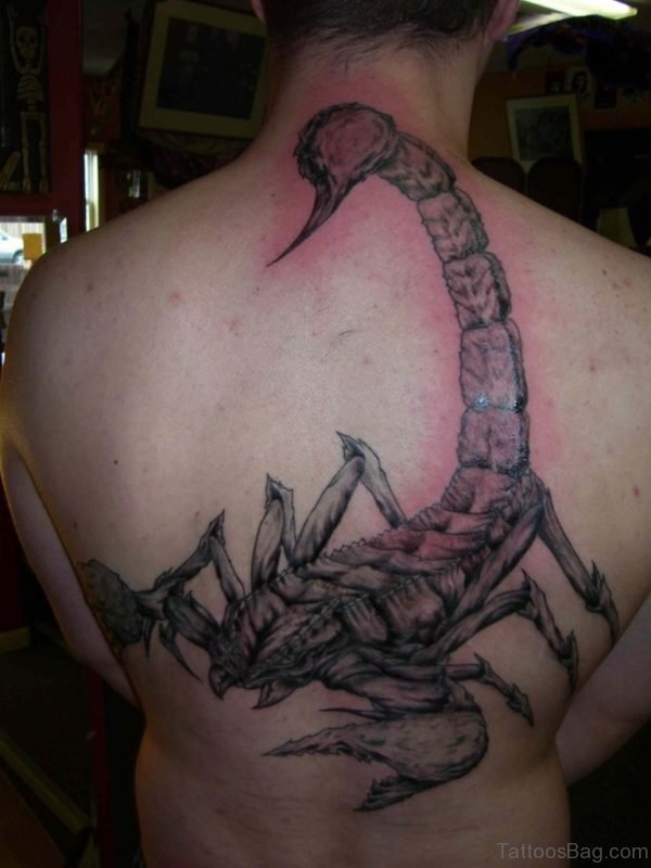 Scorpion Tattoo