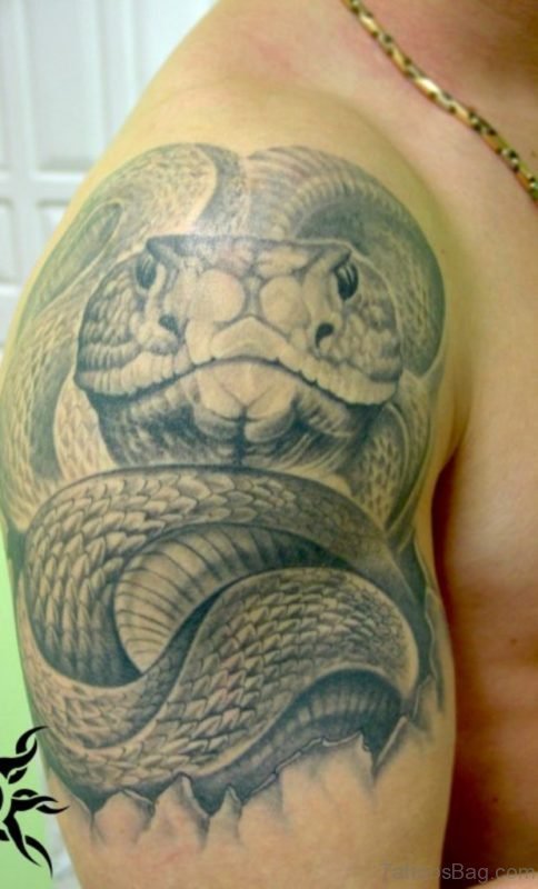 Snake Tattoo 
