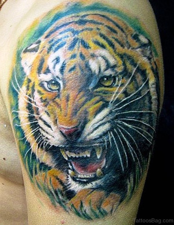 Tiger Face Tattoo Design