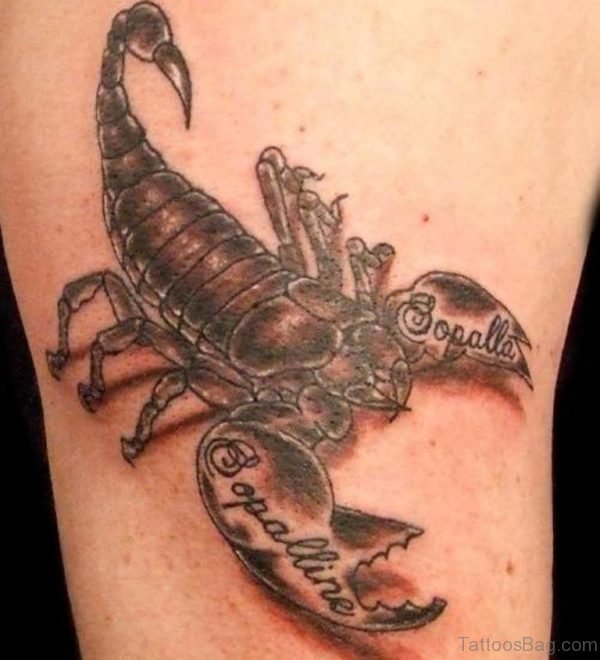 Wonderful Tribal Scorpion Tattoo On Shoulder
