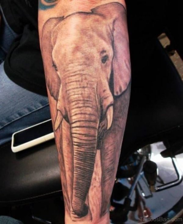 Abstract Elephant Forearm Tattoo