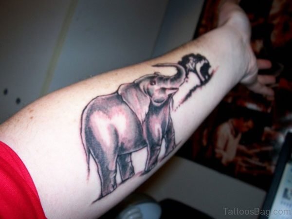 Adorable Elephant Forearm Tattoo