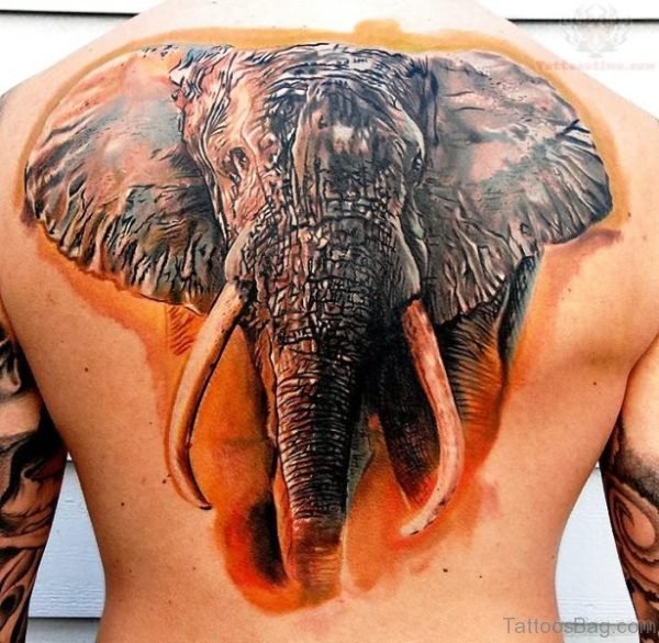 African Elephant Tattoo On Back