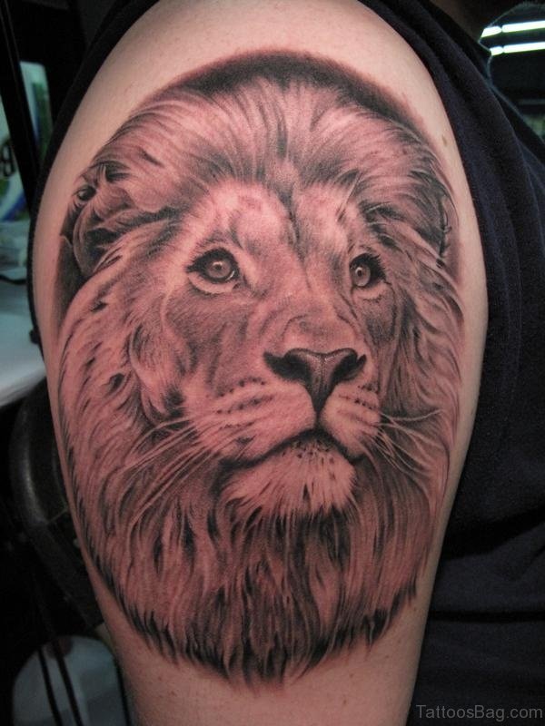 Awesome Lion Tattoo On Shoulder