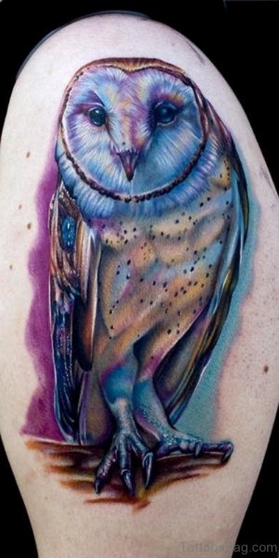 Blue Owl Shoulder Tattoo
