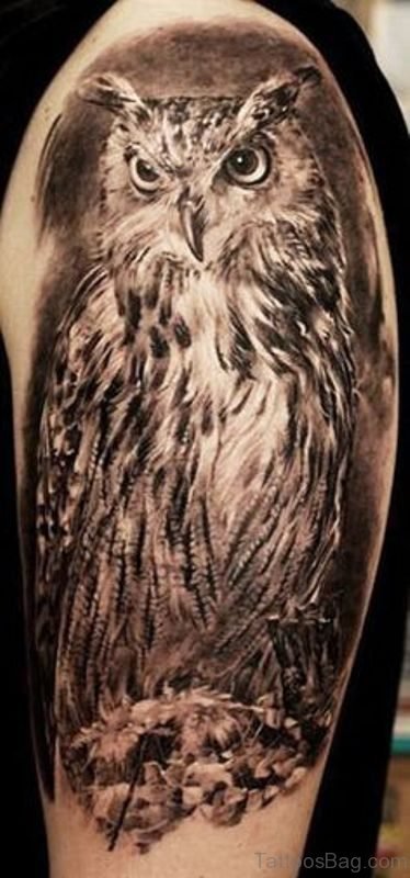 Brown Shoulder Owl Tattoo