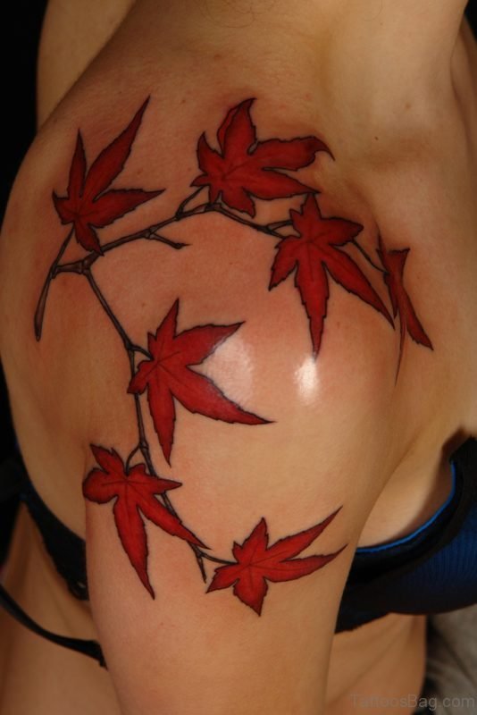 Candian Leaf Tattoo On Shoulder