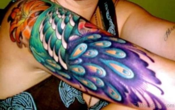 Colorful Peacock Feather Tattoo On Shoulder