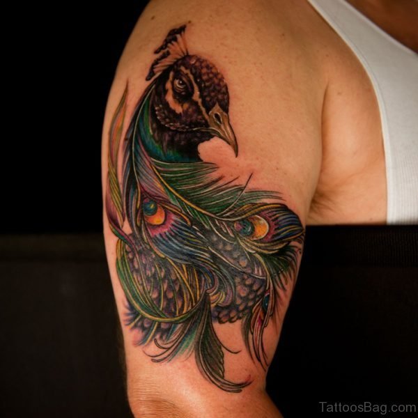 Colorful Peacock Tattoo Design On Shoulder