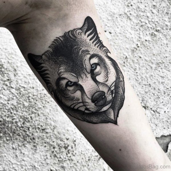 Delightful Alpha Wolf Tattoo On Arm