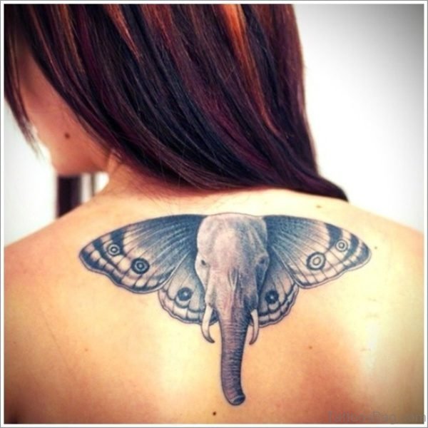 Elephant Head Tattoo On Back