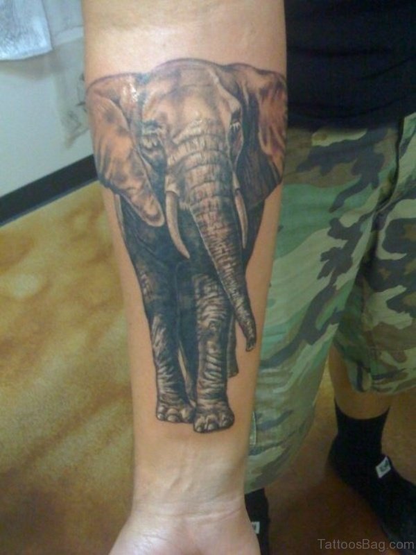Forearm Elephant Tattoo