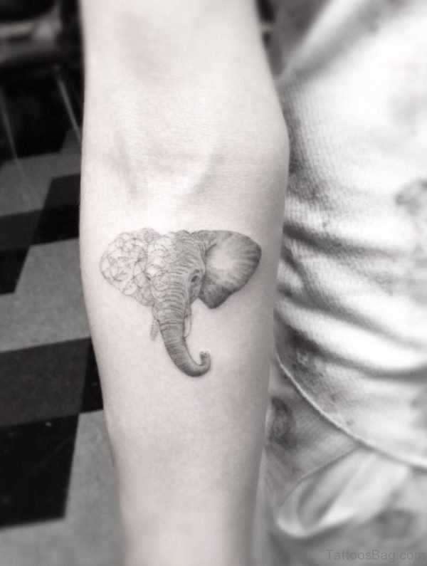 Grey Head Elephant Tattoo On Forearm