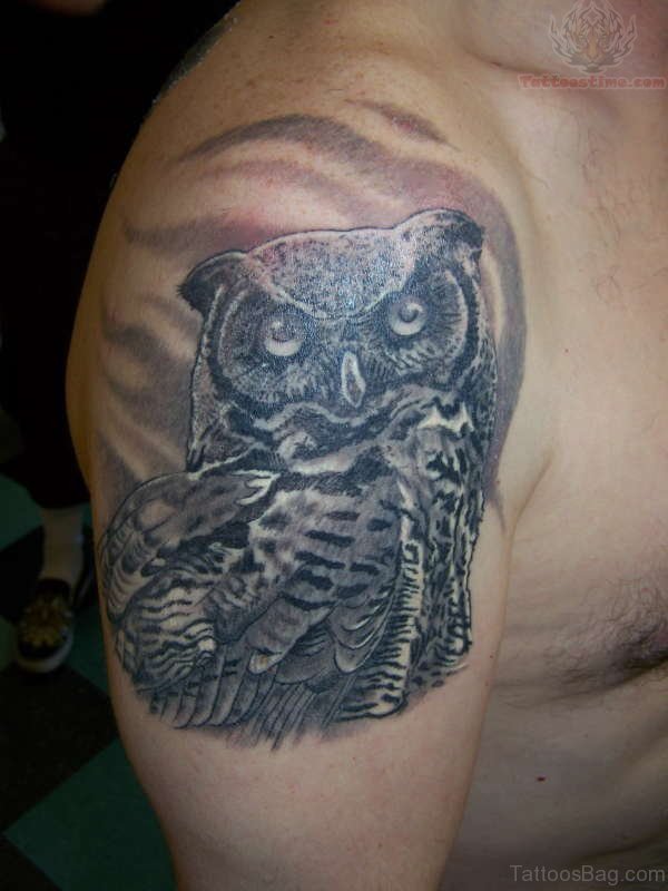 Grey Owl Tattoo On Shoulder