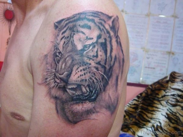 Grey Tiger Face Shoulder Tattoo