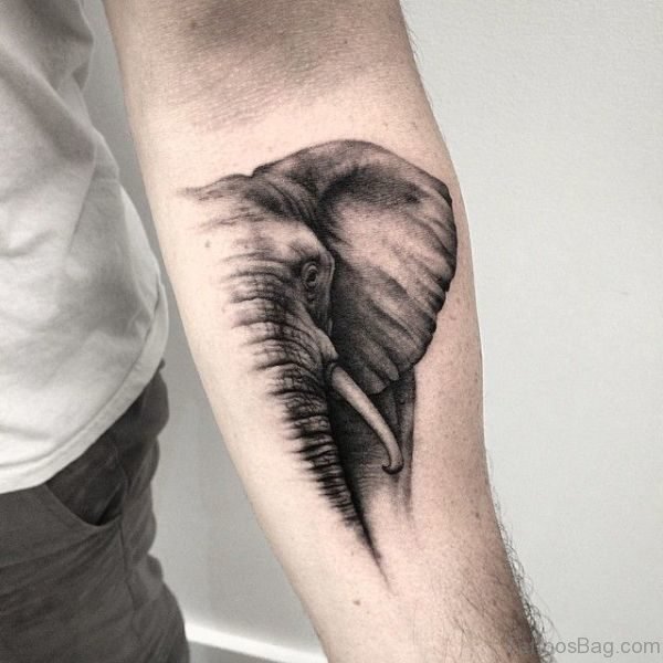 Half Face Elephant Tattoo On Forearm