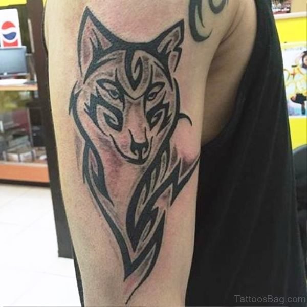 Lined Tribal Alpha Wolf Tattoo On Shoulder