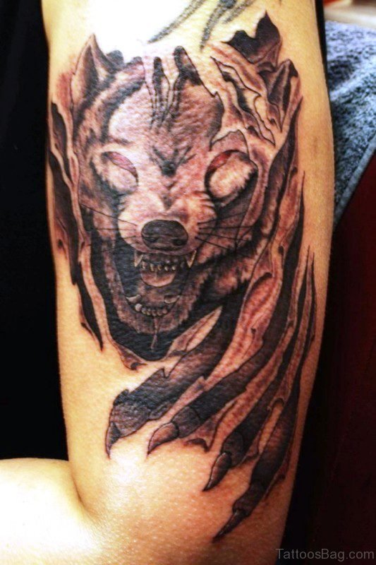 Lovely Alpha Wolf Tattoo On Shoulder