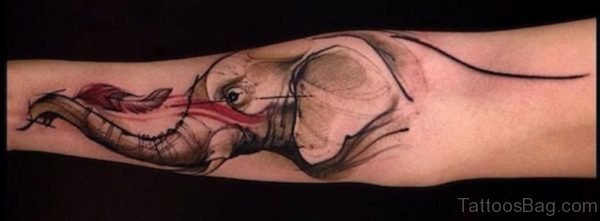 Lovely Elephant Tattoo On Forearm