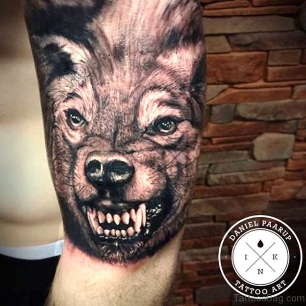 Marvelous Alpha Wolf Tattoo On Arm