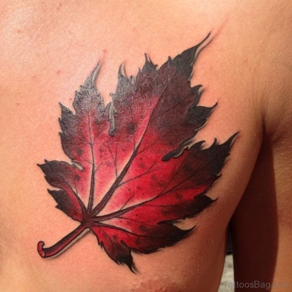 Nice Maple Leaf Tattoo Design