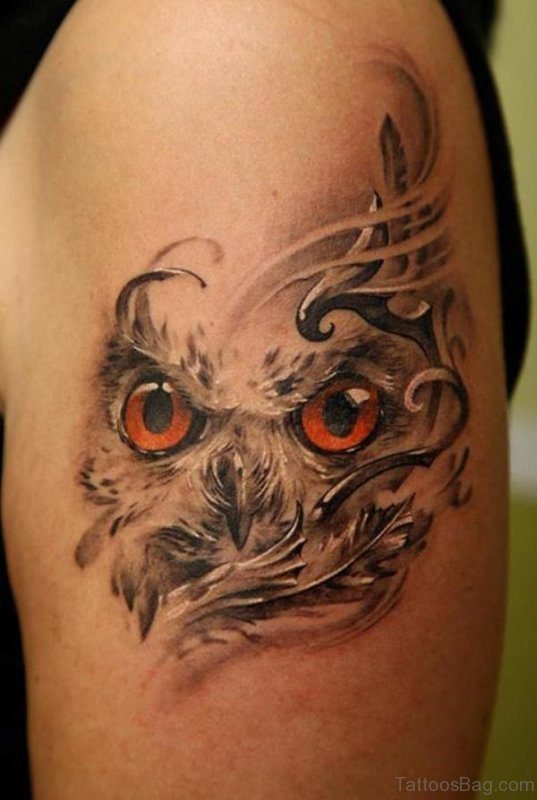 Nice Owl Face Tattoo