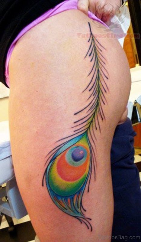 Nice Simple Peacock Feather Tattoo