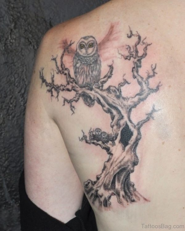 Owl And Tree Tattoo 