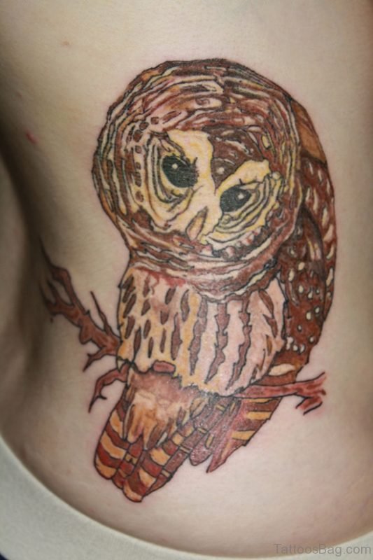 Owl Tattoo On Stomach